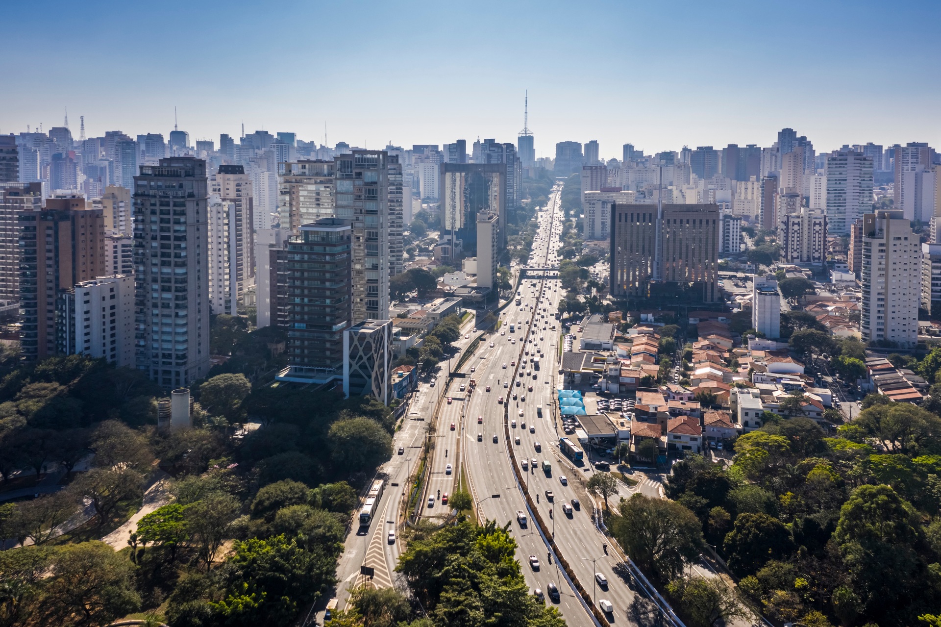 famous-avenue-in-sao-paulo-brazil